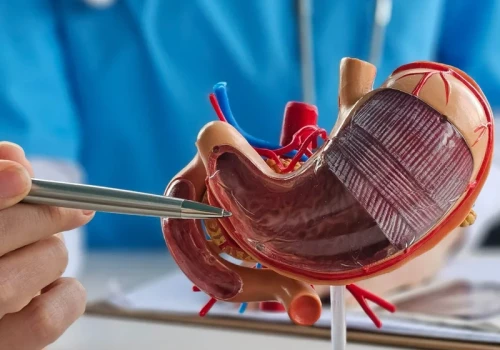 Chciał żyć wiecznie, zapadł na chorobę autoimmunologiczną. „Mój żołądek zjada sam siebie”