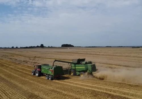 Małe żniwa mogą mocno ruszyć jeszcze w tym tygodniu. Szkoda, że ceny jęczmienia pewnie nie ruszą