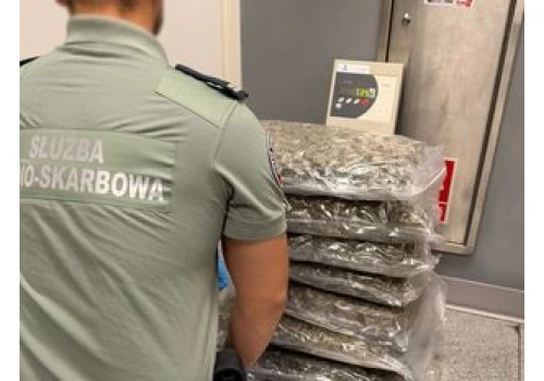 Warszawa: Ponad 40 kg marihuany w paczkach z Kanady. Celnicy udaremnili przemyt narkotyków wartych 2 miliony