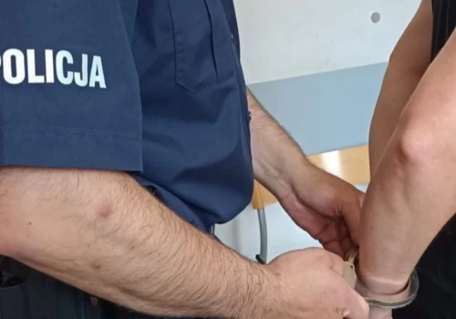 Kradzież alkoholu zakończyła się zatrzymaniem. 26-latek odpowie za serię przestępstw