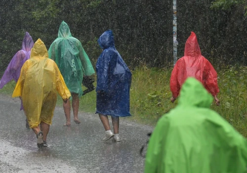 TPN pokazuje skutki uderzenia pioruna w drzewo. Apelują do turystów