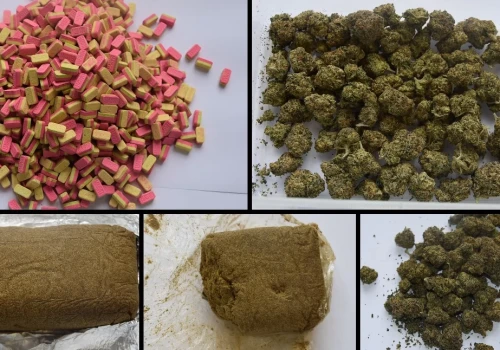 Ecstasy, haszysz, marihuana. Narkotykowy magazyn w mieszkaniu 21-latka z Legnicy