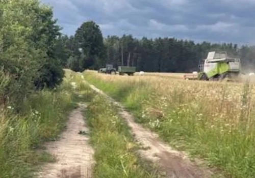 Wypadek podczas zbioru ziemniaków. Maszyna wciągnęła rękę mężczyzny
