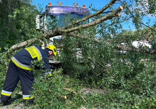 Silny wiatr w Baninie. Drzewo spadło przed nadjeżdżającą ciężarówkę