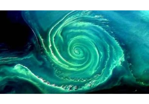 Zielony wir nad Bałtykiem widać z kosmosu. NASA ostrzega