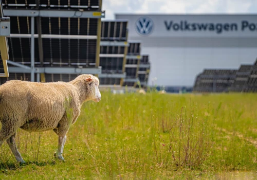 Nietypowi pracownicy fabryki Volkswagena. Są ważniejsi niż może się wydawać