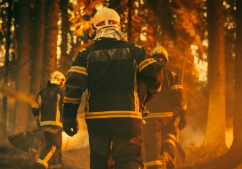 Pożar lasu na południu Hiszpanii. Zginęło 12 osób