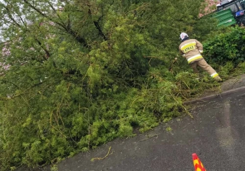 Strażacy gasili pożar samochodu i usuwali drzewa powalone przez wiatr