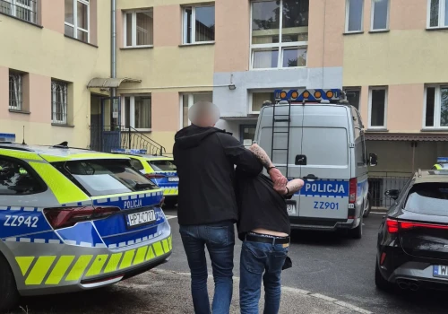 Obywatel Gruzji aresztowany za kradzież zuchwałą