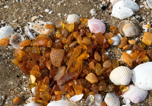 Nazywają je złotymi plażami. To tu znajdziesz najwięcej bursztynów