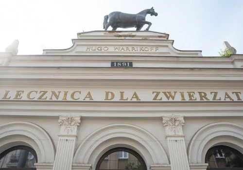 Łódzkie zachwyca. Kamienica, w której od ponad 130 lat leczy się zwierzęta. Historia słynnej „Kamienicy pod Koniem”