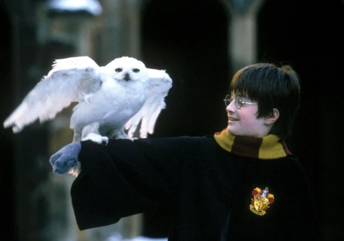 Pamiętasz szczegóły pierwszej części „Harry’ego Pottera”? Ten quiz pokaże, czy jesteś prawdziwym fanem