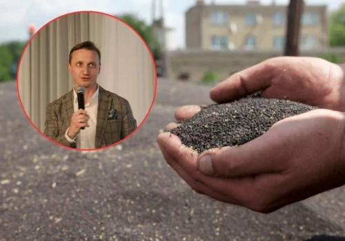 Rzepaku zabraknie dla polskich tłoczni? PSPO ostrzega: najgorsze dopiero przed nami