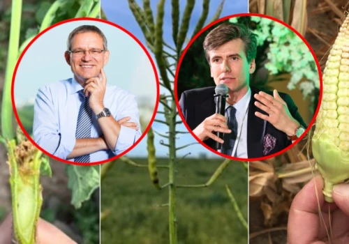 Gdy ryzyka i szkody się kumulują. Susza nieustannym wyzwaniem dla ubezpieczeń upraw rolnych