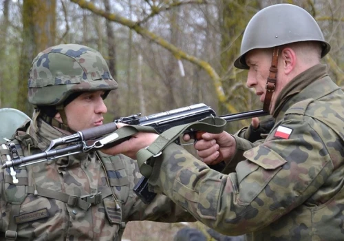 Rozdawnictwo osłabiło polską armię