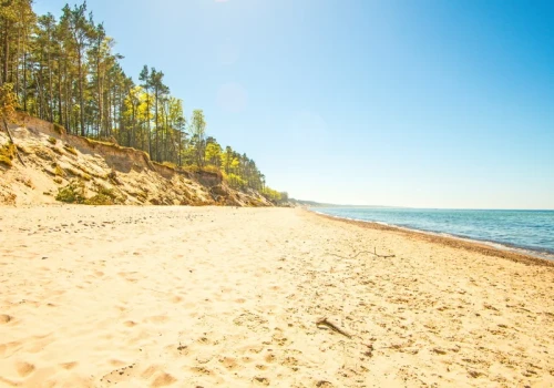 Gdzie nad Bałtykiem szukać bursztynów? Te plaże skrywają skarby