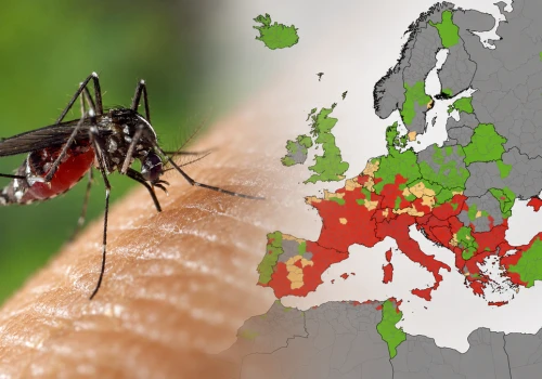 Choroby przenoszone przez komary atakują w Europie. Ostrzeżenie dla turystów