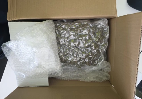 Blisko 2,3 kg marihuany przejęte z przesyłek kurierskich. Narkotyki jechały z Hiszpanii