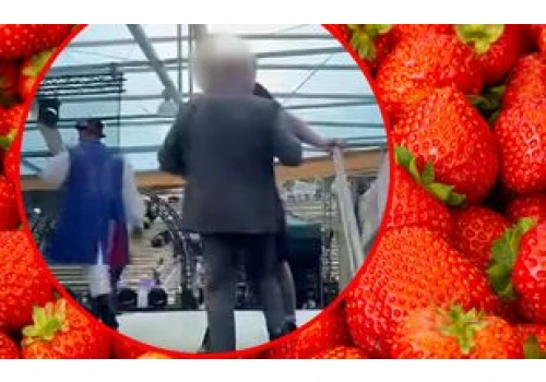 Chciał wejść na scenę. Poseł PiS starł się z ochroną