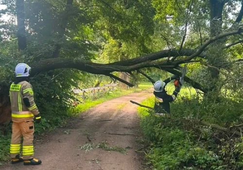 Strażacy usuwali drzewa z dróg i z dachu budynku