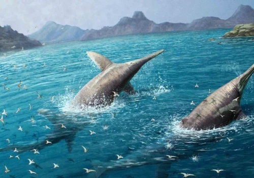 Starożytni pasjonaci paleontologii. Rzymianie zbierali szczątki ichtiozaura