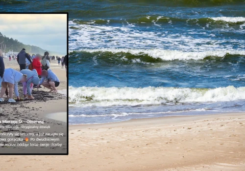 Tłumy pojawiły się na plażach zaraz po sztormach. Poszukują skarbów