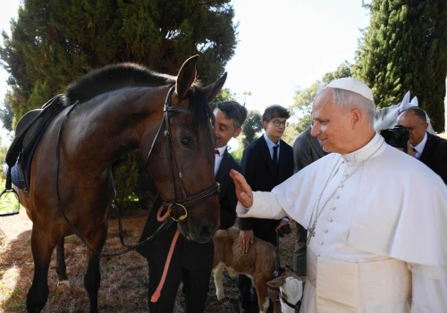 Wyjątkowe miejsce na mapie Włoch. Czym tak naprawdę jest Borgo Laudato si?