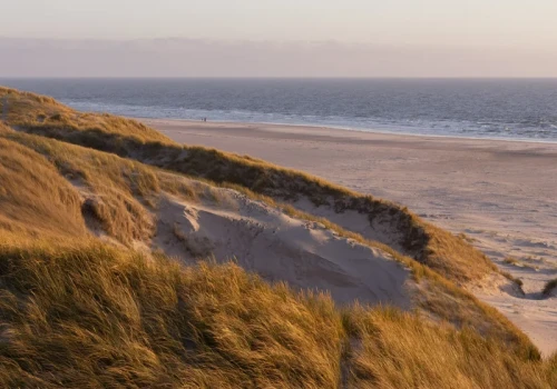 Przebija „polski Dubaj” naturalnością. To największa plaża w Europie