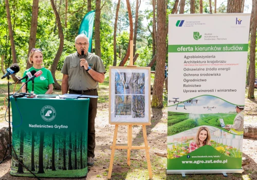 Słynny Krzywy Las dostanie „drugie życie”? Naukowcy stworzą technologię dla jego następcy