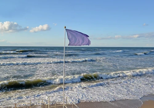 Widzisz fioletową flagę na plaży nad Bałtykiem? Lepiej uważaj