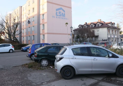 Mandat za parkowanie przed własnym domem. W tych przypadkach sąsiad ma podstawę, by wezwać policję
