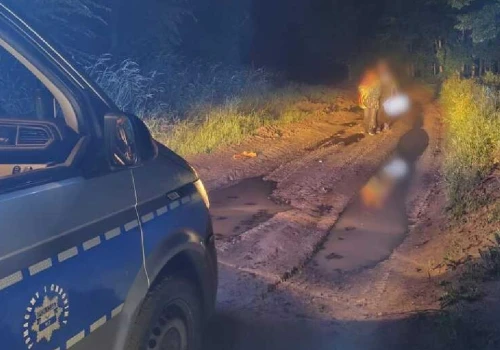 W nocy wędrowali po górach. Zgubili się, chowając przed zwierzęciem