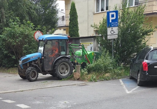 Kosić czy nie kosić? Nie kończy się dyskusja nad miejską zielenią