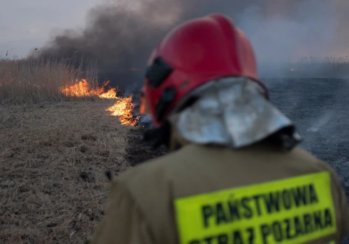 Pożar nielegalnego wysypiska odpadów na Dolnym Śląsku. Strażacy apelują do mieszkańców