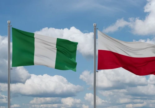 Cyfrowy sojusz Polski i Nigerii. Polski biznes powalczy o miliardowy kontrakt w Afryce