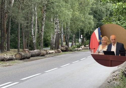 Urząd tłumaczy słowa prezydenta Pawła Silberta ws. kłód na Sosinie