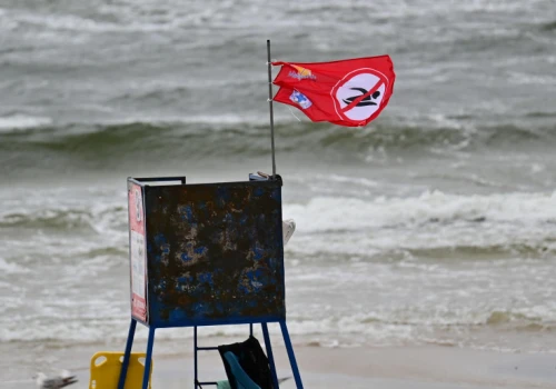 Poziom Bałtyku rekordowo niski, napłynęła słona woda. Dlaczego sinice wciąż grożą?