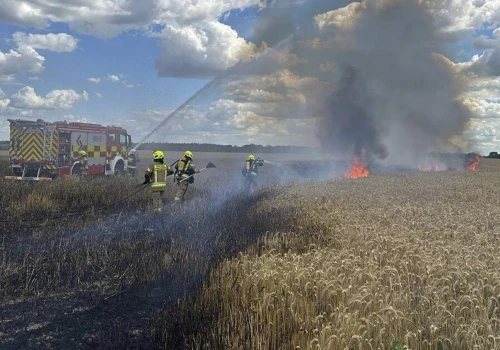 2 hektary zboża na pniu spłonęły pod Kościanem. Uratowano gospodarstwo