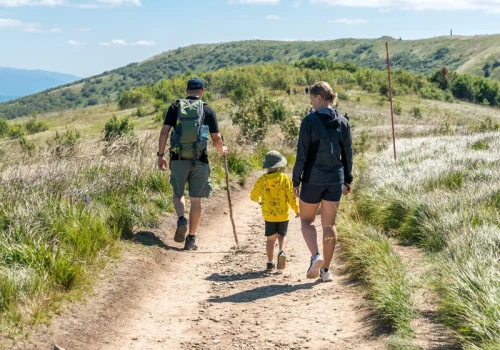 Turyści omijają Bieszczady. Przedsiębiorcy wskazują na jeden ważny powód