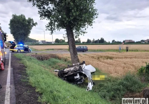 Tragedia w Żerdzinach. 28-letni mężczyzna zginął w wypadku
