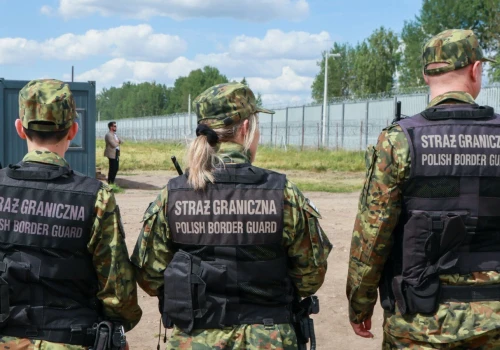 Zatrzymanie ciężarówki z transportem na granicy Polski. Musiała interweniować Straż Graniczna