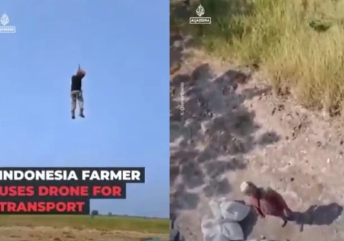 Rolnik z Indonezji zawisł pod wielkim dronem i przeleciał 1,5 kilometra nad polami. Nagranie obiegło świat
