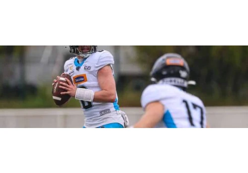 Panthers Wrocław zatrzymani w Düsseldorfie. Rhein Fire nie dało szans