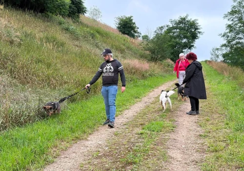 Wolontariat w schronisku dla zwierząt w Janiku. Pierwsze spacery już się odbyły