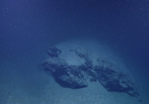Morski śnieg i fizyka głębin. Jak ocean transportuje węgiel