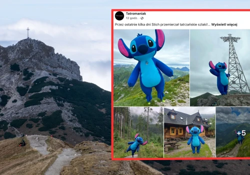 Stich pojawił się na Giewoncie. Miał ważną misję