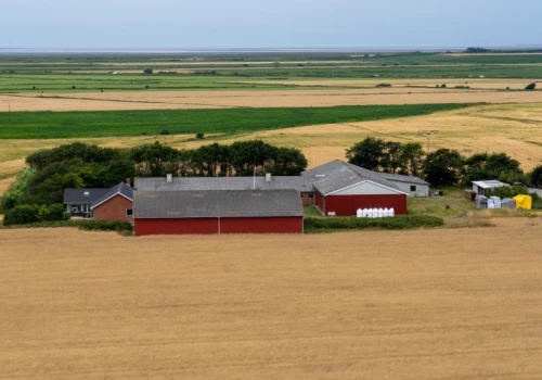 319 hektarów za 63 mln zł. Ta farma w Danii szuka nowego właściciela