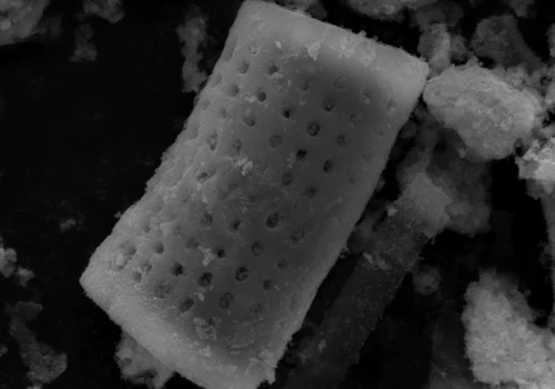Nowa metoda na niegojące się rany? Biofilm bakteryjny kontra... eksplodujące bąbelki