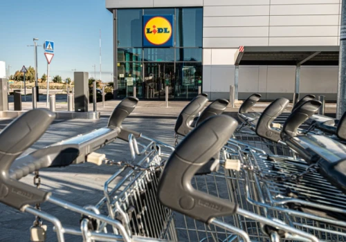 Zakupy w formie gry terenowej? Lidl chce edukować najmłodszych klientów
