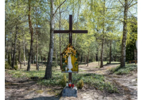 Rozpoczynają się prace ekshumacyjne na terenie d. wsi Ostrówki i Wola Ostrowiecka na Wołyniu
